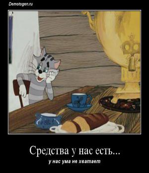 Демотиватор: Средства у нас есть...
