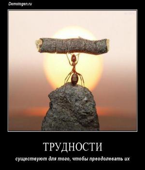 Демотиватор: ТРУДНОСТИ