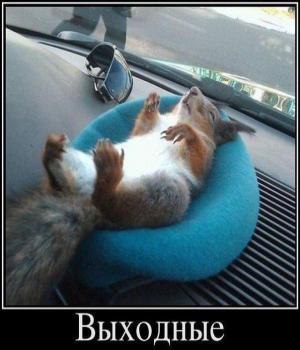 Демотиватор: ВЫХОДНЫЕ